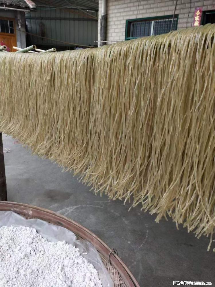 【灌阳正宗红薯粉】美女家里自己做的,干净卫生,假一赔十,价格合理,抢购电话:13737312895 - 美食天地 - 葫芦岛生活社区 - 葫芦岛28生活网 hld.28life.com