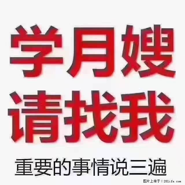 为什么要学习月嫂，育婴师？ - 新手上路 - 葫芦岛生活社区 - 葫芦岛28生活网 hld.28life.com