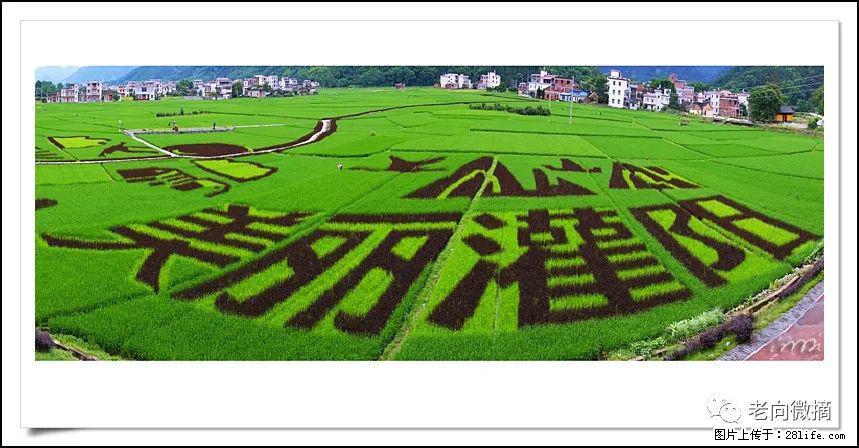 【春天，广西桂林灌阳县向您发出邀请！】开篇 - 游山玩水 - 葫芦岛生活社区 - 葫芦岛28生活网 hld.28life.com