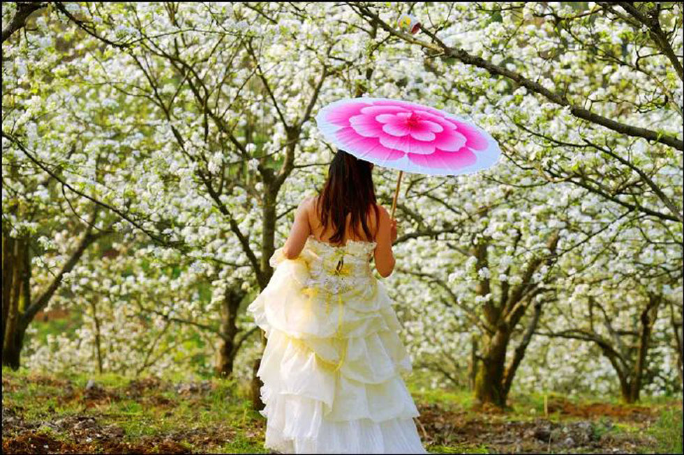 【春天，广西桂林灌阳县向您发出邀请！】我们在灌阳看梨花 - 游山玩水 - 葫芦岛生活社区 - 葫芦岛28生活网 hld.28life.com