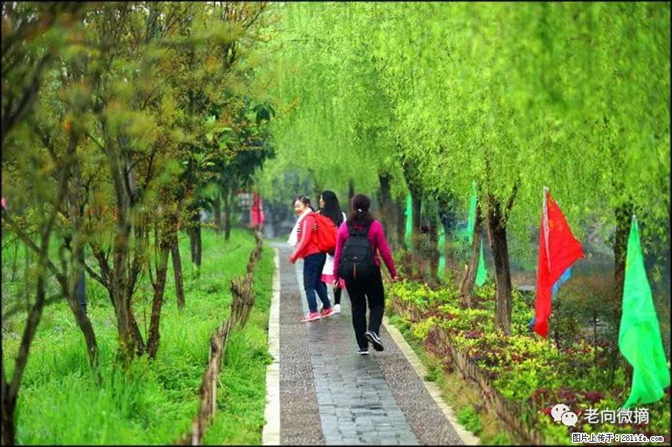 【春天，广西桂林灌阳县向您发出邀请！】江口老街又逢春 - 游山玩水 - 葫芦岛生活社区 - 葫芦岛28生活网 hld.28life.com