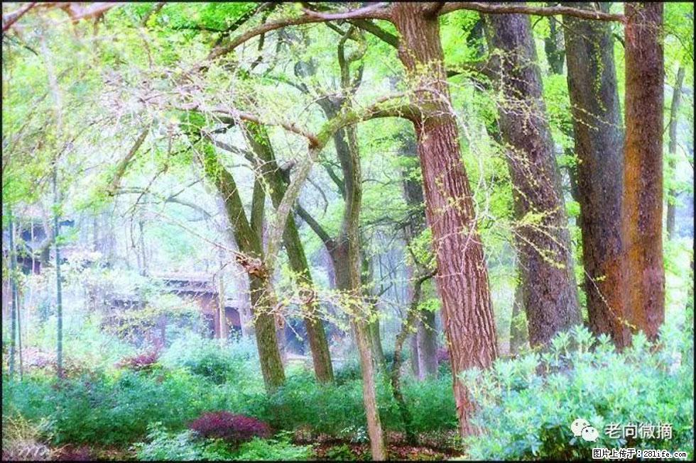 【春天，广西桂林灌阳县向您发出邀请！】在小龙村与春天约会 - 游山玩水 - 葫芦岛生活社区 - 葫芦岛28生活网 hld.28life.com