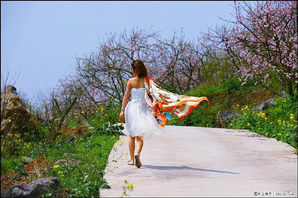 【春天，广西桂林灌阳县向您发出邀请！】望月岭上桃花开 - 游山玩水 - 葫芦岛生活社区 - 葫芦岛28生活网 hld.28life.com