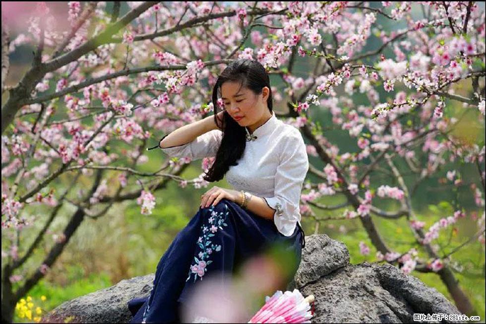 【春天，广西桂林灌阳县向您发出邀请！】望月岭上桃花开 - 游山玩水 - 葫芦岛生活社区 - 葫芦岛28生活网 hld.28life.com