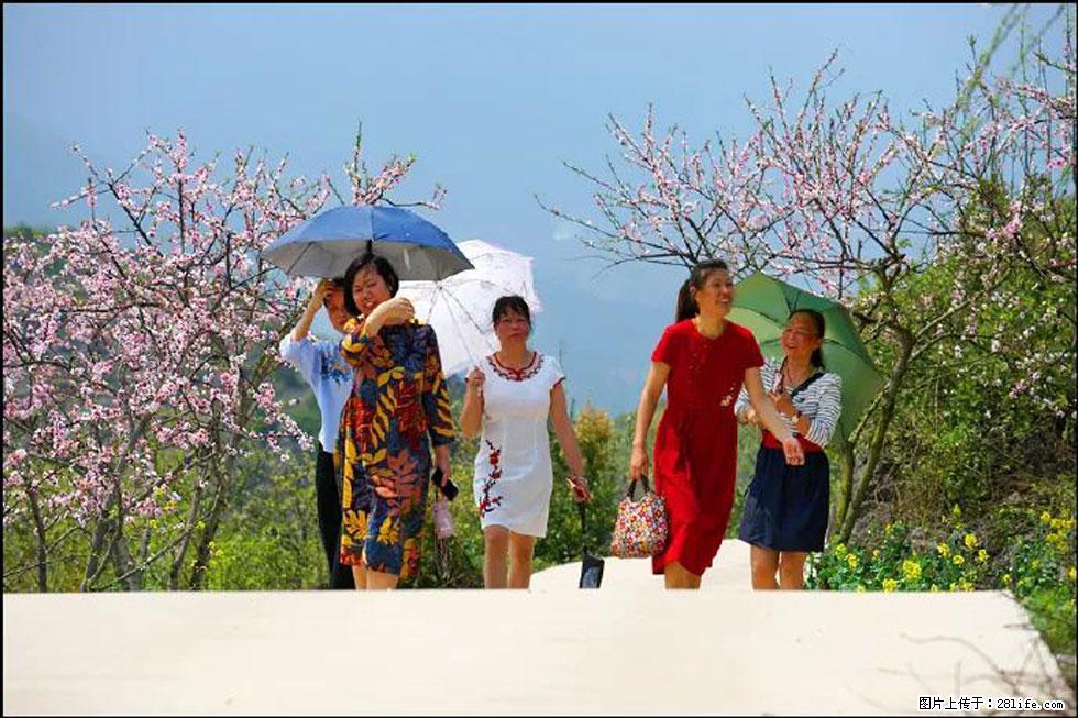 【春天，广西桂林灌阳县向您发出邀请！】望月岭上桃花开 - 游山玩水 - 葫芦岛生活社区 - 葫芦岛28生活网 hld.28life.com