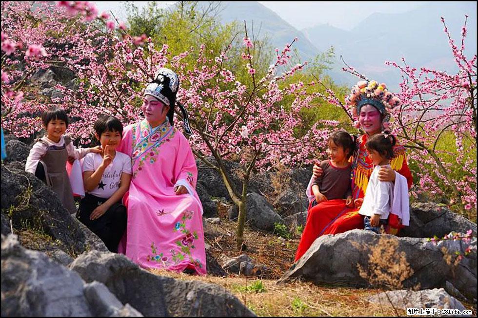 【春天，广西桂林灌阳县向您发出邀请！】望月岭上桃花开 - 游山玩水 - 葫芦岛生活社区 - 葫芦岛28生活网 hld.28life.com