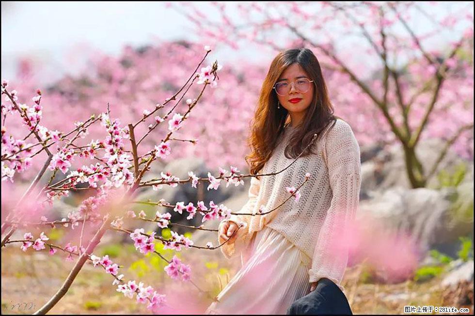 【春天，广西桂林灌阳县向您发出邀请！】望月岭上桃花开 - 游山玩水 - 葫芦岛生活社区 - 葫芦岛28生活网 hld.28life.com