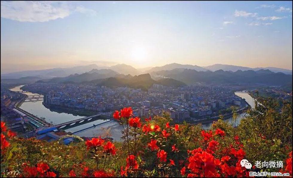 【春天，广西桂林灌阳县向您发出邀请！】登麒麟山，相约映山红 - 游山玩水 - 葫芦岛生活社区 - 葫芦岛28生活网 hld.28life.com