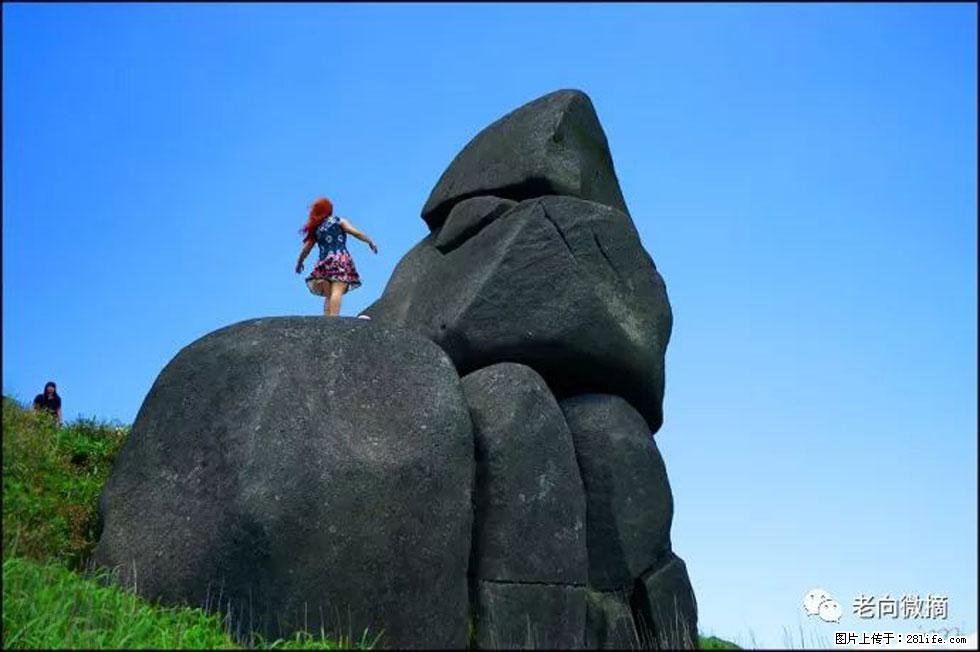 【春天，广西桂林灌阳县向您发出邀请！】宝盖山上映山红 - 游山玩水 - 葫芦岛生活社区 - 葫芦岛28生活网 hld.28life.com