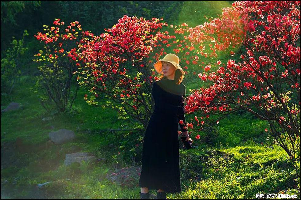 【春天，广西桂林灌阳县向您发出邀请！】春木界上映山红 - 游山玩水 - 葫芦岛生活社区 - 葫芦岛28生活网 hld.28life.com