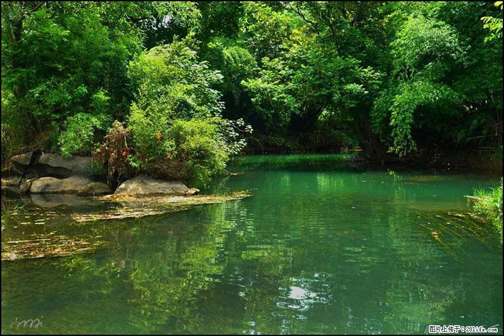 【春天,广西桂林灌阳县向您发出邀请!】如梦似幻莲溪庐 - 游山玩水 - 葫芦岛生活社区 - 葫芦岛28生活网 hld.28life.com