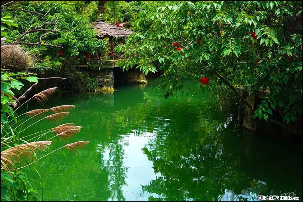 【春天,广西桂林灌阳县向您发出邀请!】如梦似幻莲溪庐 - 游山玩水 - 葫芦岛生活社区 - 葫芦岛28生活网 hld.28life.com