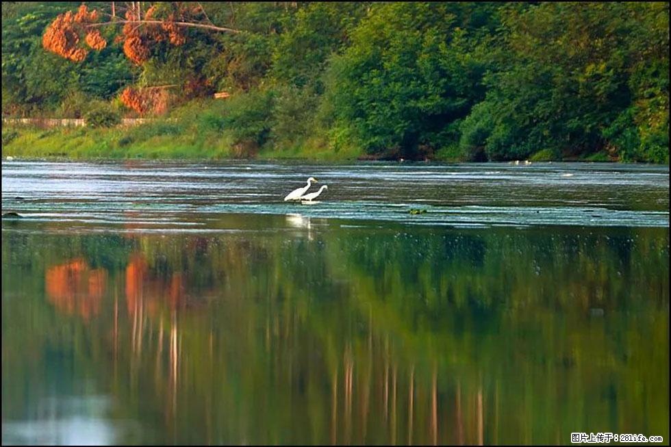 【春天,广西桂林灌阳县向您发出邀请!】熊家寨湿地公园 - 游山玩水 - 葫芦岛生活社区 - 葫芦岛28生活网 hld.28life.com