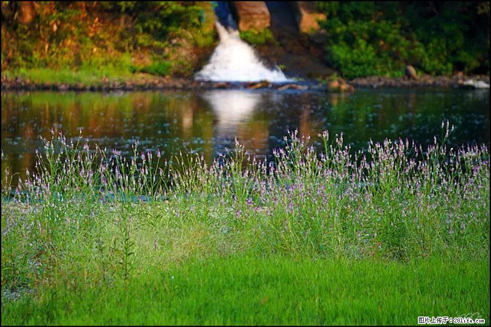 【春天,广西桂林灌阳县向您发出邀请!】熊家寨湿地公园 - 游山玩水 - 葫芦岛生活社区 - 葫芦岛28生活网 hld.28life.com