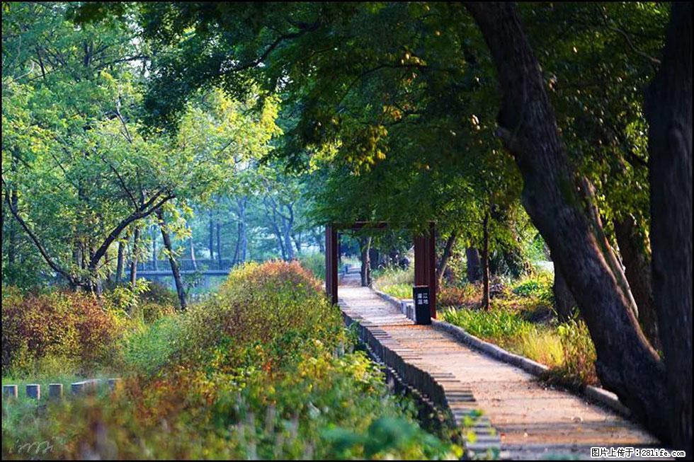 【春天,广西桂林灌阳县向您发出邀请!】熊家寨湿地公园 - 游山玩水 - 葫芦岛生活社区 - 葫芦岛28生活网 hld.28life.com