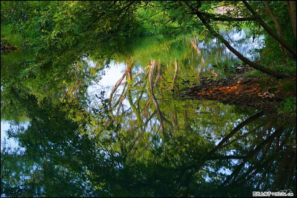 【春天,广西桂林灌阳县向您发出邀请!】熊家寨湿地公园 - 游山玩水 - 葫芦岛生活社区 - 葫芦岛28生活网 hld.28life.com