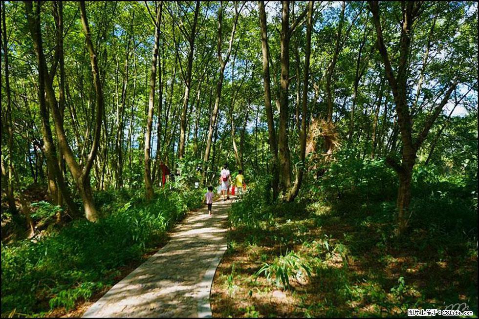 【春天,广西桂林灌阳县向您发出邀请!】熊家寨湿地公园 - 游山玩水 - 葫芦岛生活社区 - 葫芦岛28生活网 hld.28life.com