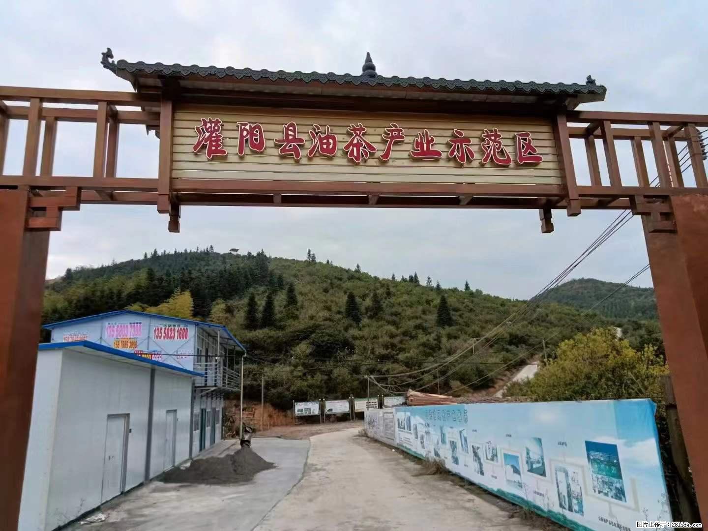 【灌阳县油茶产业示范区】一个有着充实的精神生活的人，对待身外之物自会有一种淡泊的态度 - 土特产 - 饮食特产 - 葫芦岛分类信息 - 葫芦岛28生活网 hld.28life.com