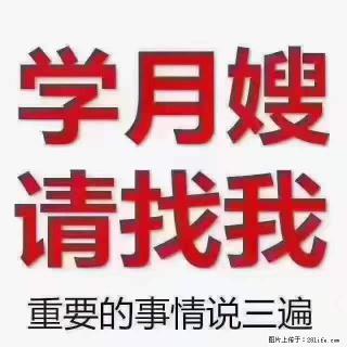 为什么要学习月嫂，育婴师？ - 葫芦岛28生活网 hld.28life.com