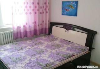 一个月起租五厂铁北2楼家电齐全家具齐全拎包入住 - 葫芦岛28生活网 hld.28life.com