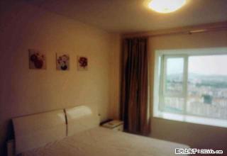 滨河金汇广厦高层花之色主题精品公寓 - 葫芦岛28生活网 hld.28life.com