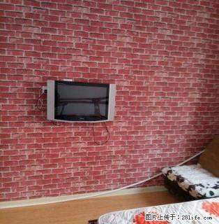 滨河五里河桥头五厂住宅一楼精装白领房 - 葫芦岛28生活网 hld.28life.com