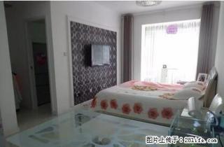 dx福尔沃财富街 1666元 1室1厅1卫 精装修，家电齐全 - 葫芦岛28生活网 hld.28life.com