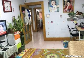 莲花三村 750元 2室2厅1卫 中装采光好，拎包随时就可以 - 葫芦岛28生活网 hld.28life.com