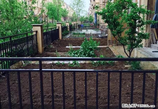 首创象墅高档小区楼房出租一楼带院 - 房屋出租 - 房屋租售 - 葫芦岛分类信息 - 葫芦岛28生活网 hld.28life.com