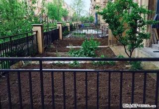 首创象墅高档小区楼房出租一楼带院 - 葫芦岛28生活网 hld.28life.com