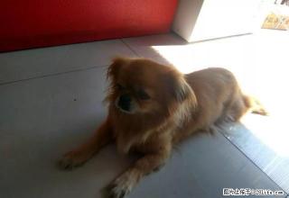 丰乐小区2室1厅月租400元4层没暖 - 葫芦岛28生活网 hld.28life.com