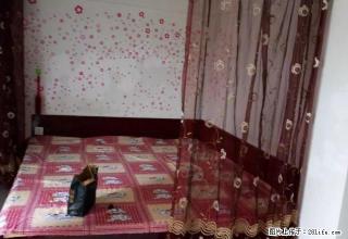 建都附近1楼月租年租，交通方便，离肖家中旺都不远， - 葫芦岛28生活网 hld.28life.com