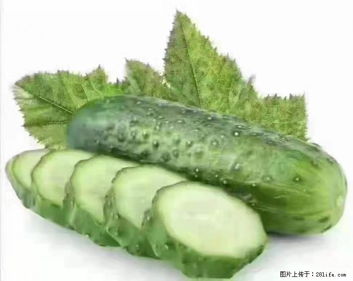 【生活小常识】吃黄瓜的好处 - 生活百科 - 葫芦岛生活社区 - 葫芦岛28生活网 hld.28life.com