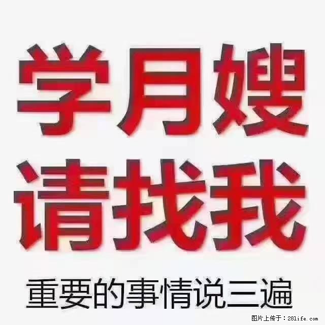 【招聘】月嫂，上海徐汇区 - 职场交流 - 葫芦岛生活社区 - 葫芦岛28生活网 hld.28life.com