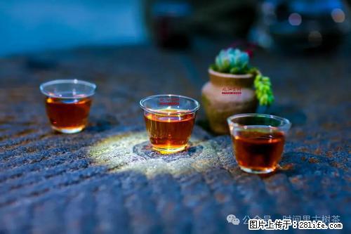 时间果百年古树2025年春红茶 - 购物交流 - 葫芦岛生活社区 - 葫芦岛28生活网 hld.28life.com