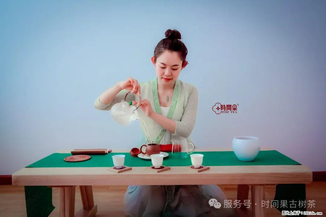 时间果百年古树龙珠普洱生茶 - 购物交流 - 葫芦岛生活社区 - 葫芦岛28生活网 hld.28life.com