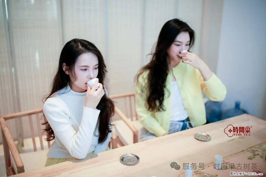 时间果百年古树龙珠普洱生茶 - 购物交流 - 葫芦岛生活社区 - 葫芦岛28生活网 hld.28life.com