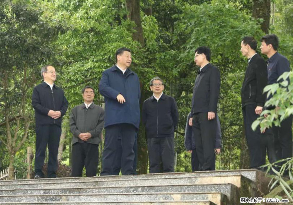 习近平赴广西考察调研 - 葫芦岛生活资讯 - 葫芦岛28生活网 hld.28life.com