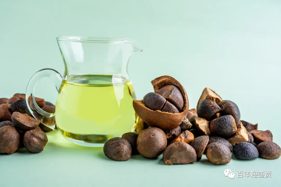 世界没有真相，只有认知，最好的食用油是中国的山茶油！ - 葫芦岛生活资讯 - 葫芦岛28生活网 hld.28life.com