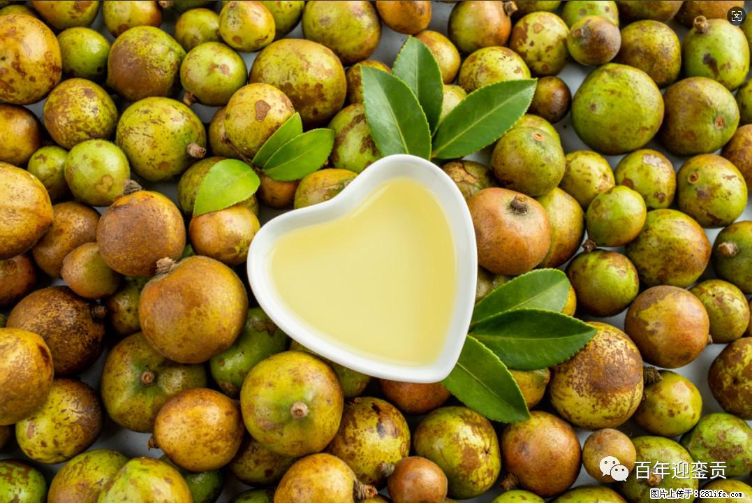 世界没有真相，只有认知，最好的食用油是中国的山茶油！ - 葫芦岛生活资讯 - 葫芦岛28生活网 hld.28life.com