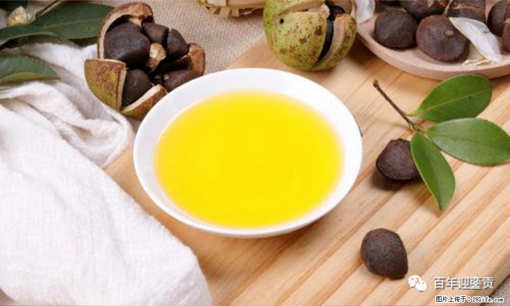 世界没有真相，只有认知，最好的食用油是中国的山茶油！ - 葫芦岛生活资讯 - 葫芦岛28生活网 hld.28life.com