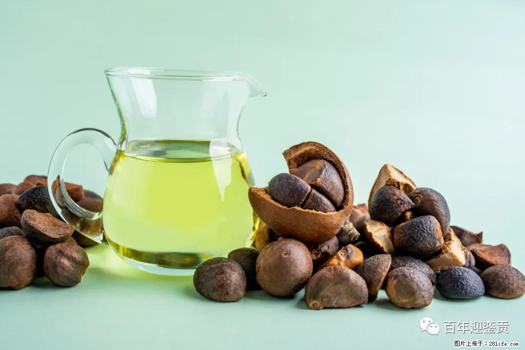 世界没有真相，只有认知，最好的食用油是中国的山茶油！ - 葫芦岛生活资讯 - 葫芦岛28生活网 hld.28life.com