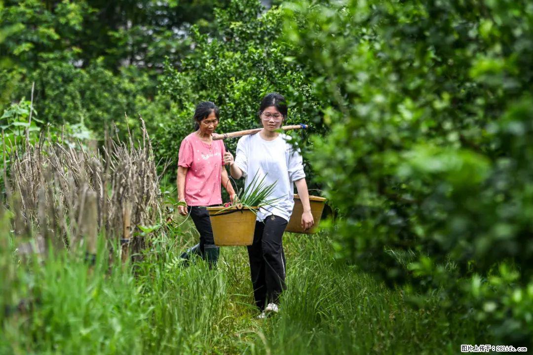 全网追的“扁担女孩”，找了一份暑假工，时薪12元 - 葫芦岛生活资讯 - 葫芦岛28生活网 hld.28life.com