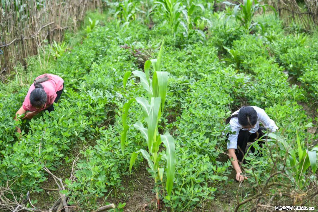 全网追的“扁担女孩”，找了一份暑假工，时薪12元 - 葫芦岛生活资讯 - 葫芦岛28生活网 hld.28life.com