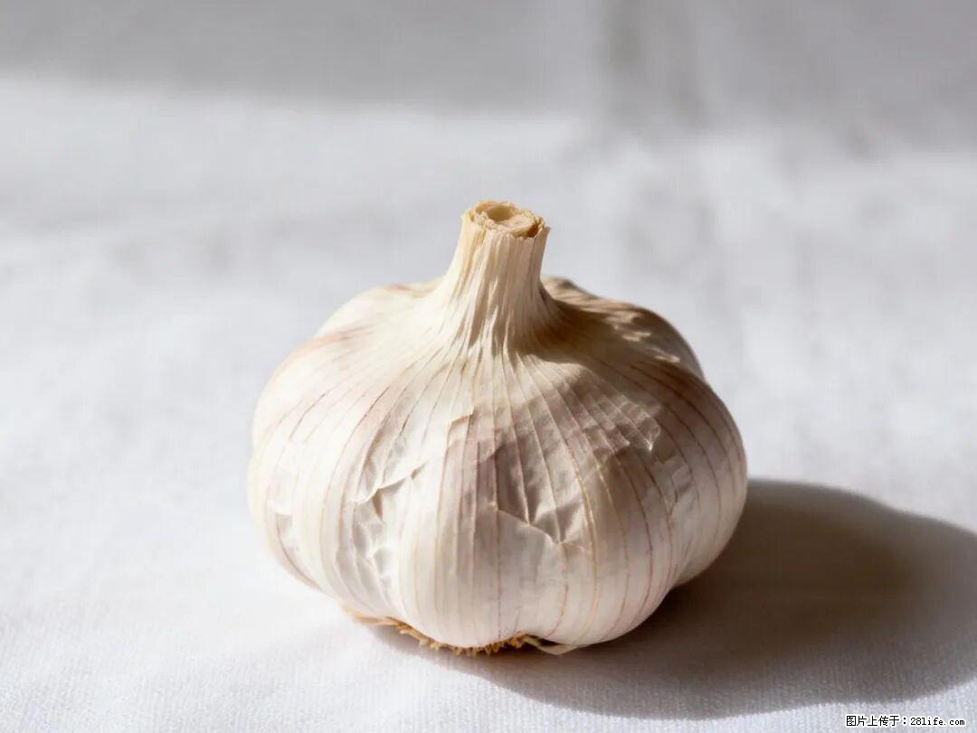 关于大蒜,除了“天然抗生素”,这4个谣言更该警惕! - 葫芦岛生活资讯 - 葫芦岛28生活网 hld.28life.com
