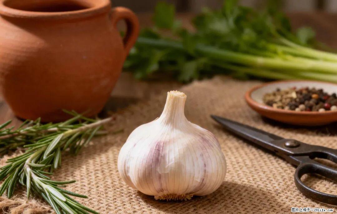 关于大蒜,除了“天然抗生素”,这4个谣言更该警惕! - 葫芦岛生活资讯 - 葫芦岛28生活网 hld.28life.com