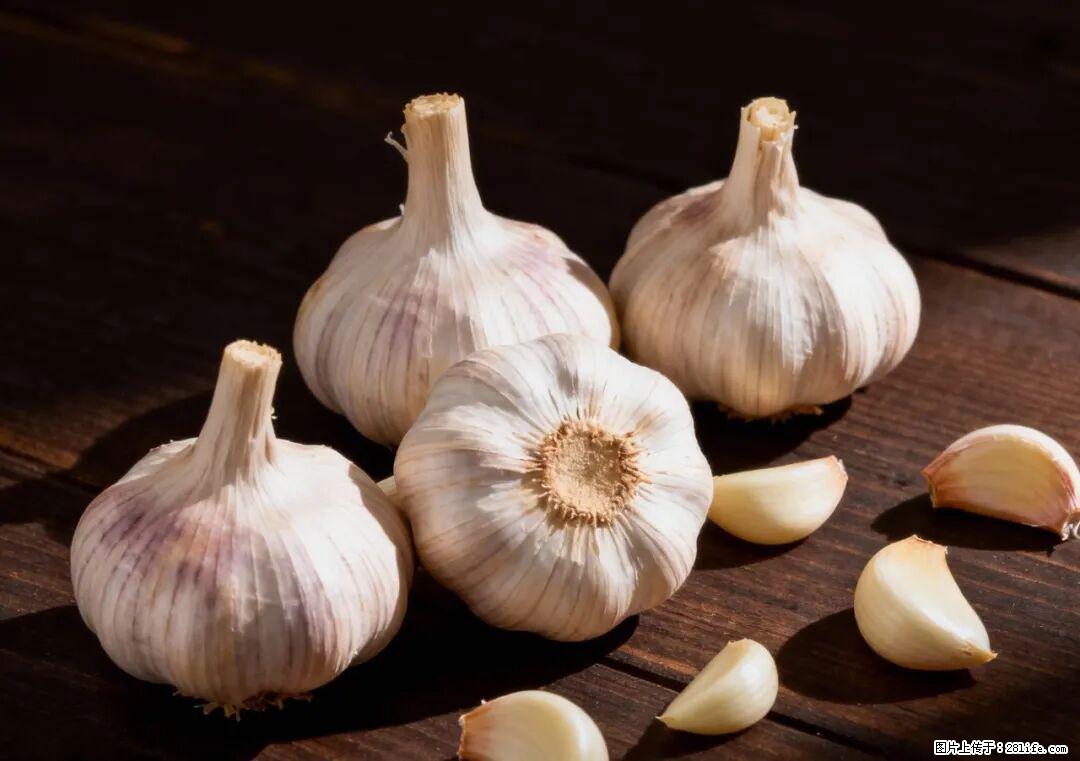 关于大蒜,除了“天然抗生素”,这4个谣言更该警惕! - 葫芦岛生活资讯 - 葫芦岛28生活网 hld.28life.com