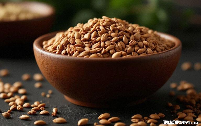 这三苦是三高“克星”,心血管干净不易堵!每天吃一点,指标慢慢降下来~ - 葫芦岛生活资讯 - 葫芦岛28生活网 hld.28life.com