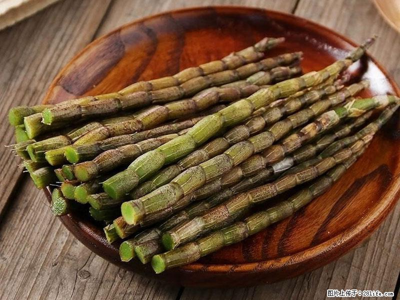 铁皮石斛的作用与功能主治 - 葫芦岛生活资讯 - 葫芦岛28生活网 hld.28life.com