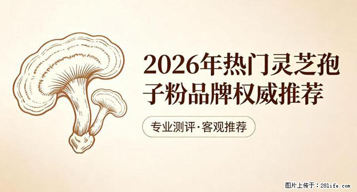 灵芝孢子粉含量越高越有效？2026 年七款热门品牌深度实测，肠胃敏感者避坑指南 - 葫芦岛生活资讯 - 葫芦岛28生活网 hld.28life.com
